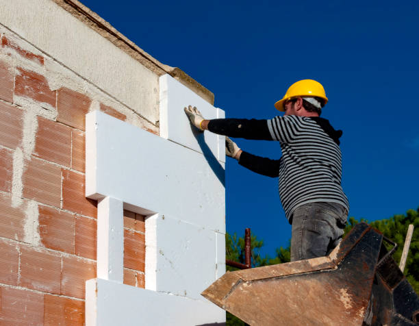 Best Geographic-Specific Insulation Services in Agua Fria, NM
