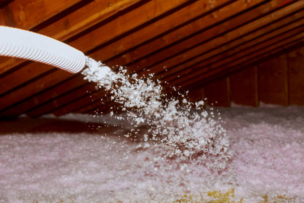 Best Fiberglass Insulation in Agua Fria, NM