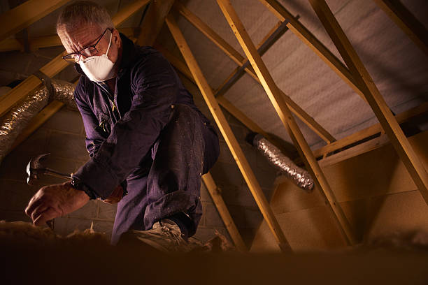 Best Cellulose Insulation in Agua Fria, NM