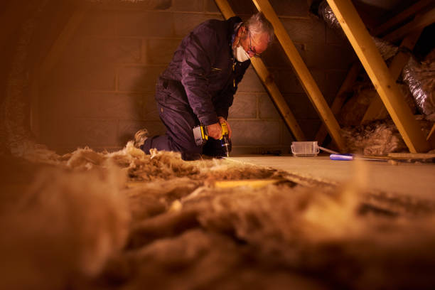 Best Residential Insulation in Agua Fria, NM